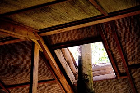Entebbe Forest Lodge